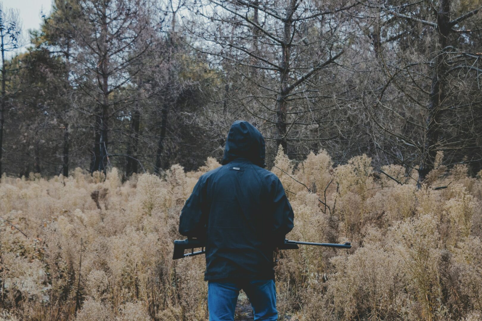 chasse dans les bois